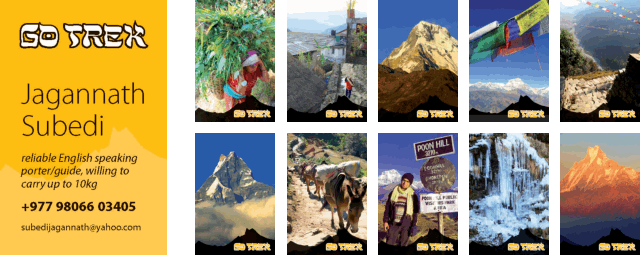 Go Trek business cards Go Trek business cards